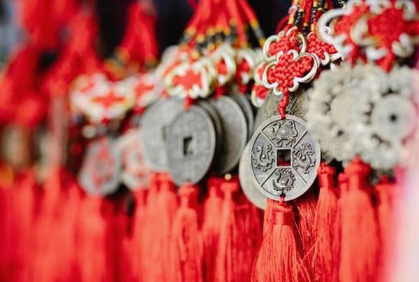 giấy phép Nohu